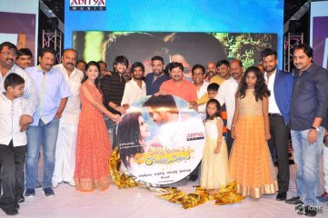 Seethamma Andaalu Raamayya Sithraalu Movie Audio Launch